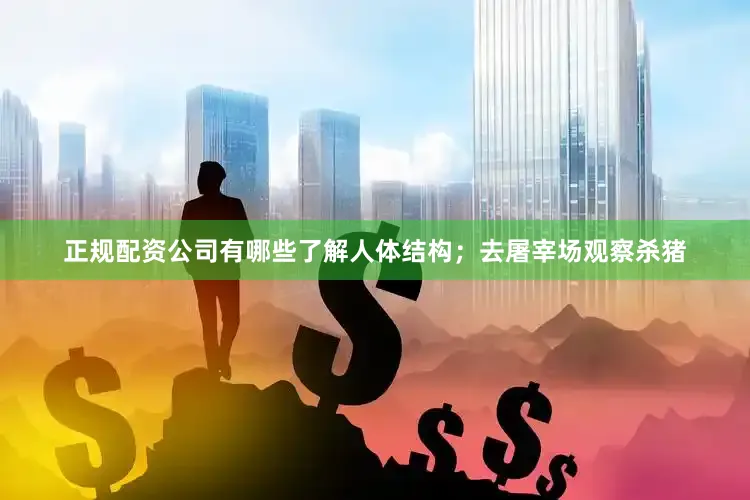 正规配资公司有哪些了解人体结构；去屠宰场观察杀猪