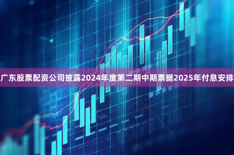 广东股票配资公司披露2024年度第二期中期票据2025年付息安排