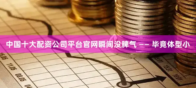 中国十大配资公司平台官网瞬间没脾气 —— 毕竟体型小