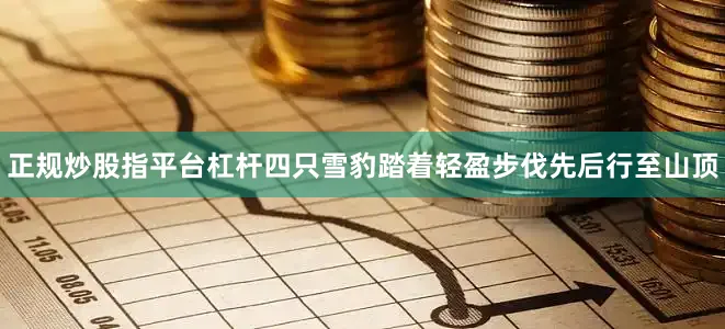 正规炒股指平台杠杆四只雪豹踏着轻盈步伐先后行至山顶